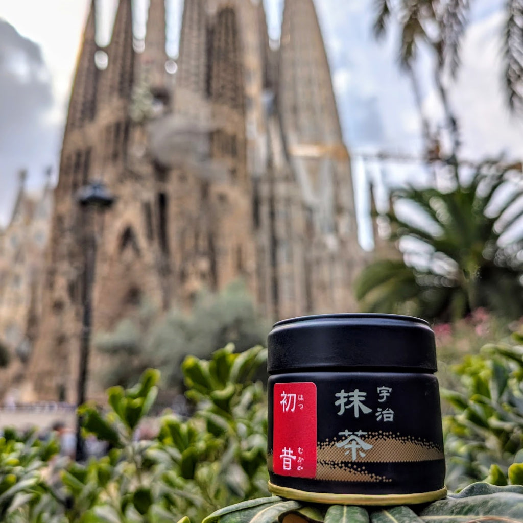 Hekisuien Hatsu 30g - Japanese Ceremonial Matcha