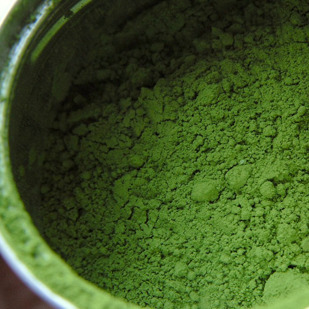 Marukyu Koyamaen Shohaku 40g- Ceremonial Grade Matcha
