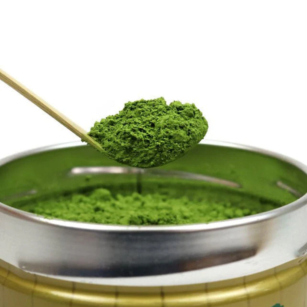 Yamamasa Koyamaen Yomo no Kaori - Japanese Ceremonial Matcha