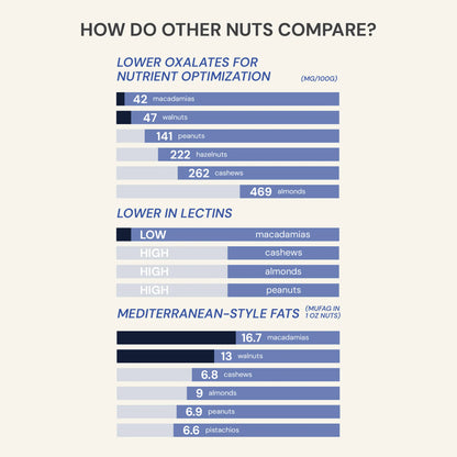 Blueprint Bryan Johnson Blueberry Nut Mix 440g – 2000 mg polyphenols