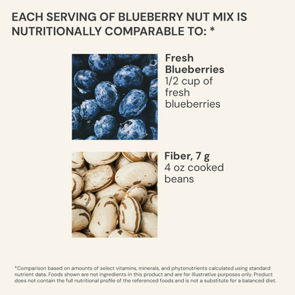 Blueprint Bryan Johnson Blueberry Nut Mix 440g – 2000 mg polyphenols